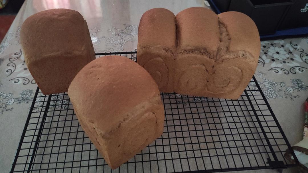 超柔软｜65度汤种｜全麦吐司｜目前为止吃过最好吃的全麦吐司没有之一