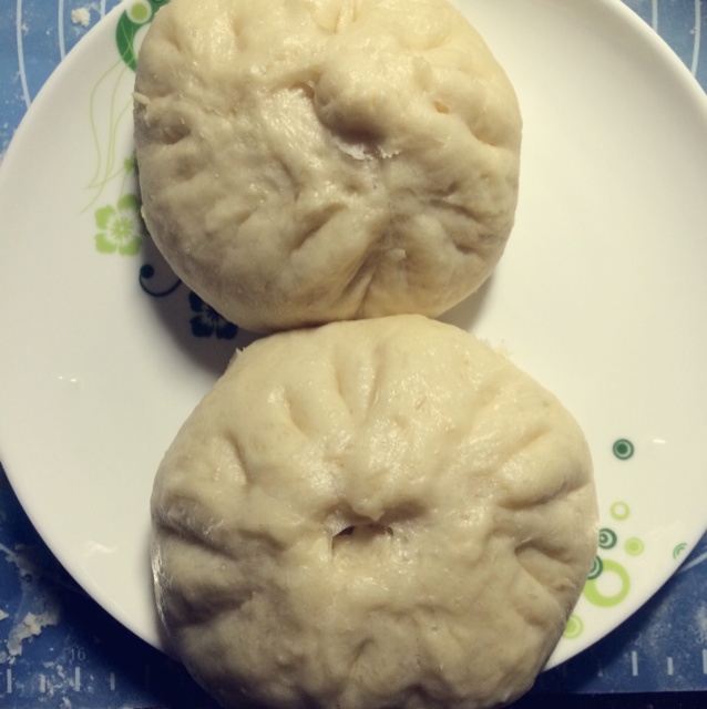 家常蒸包子（新手必学 超详 各式花卷馒头适用）