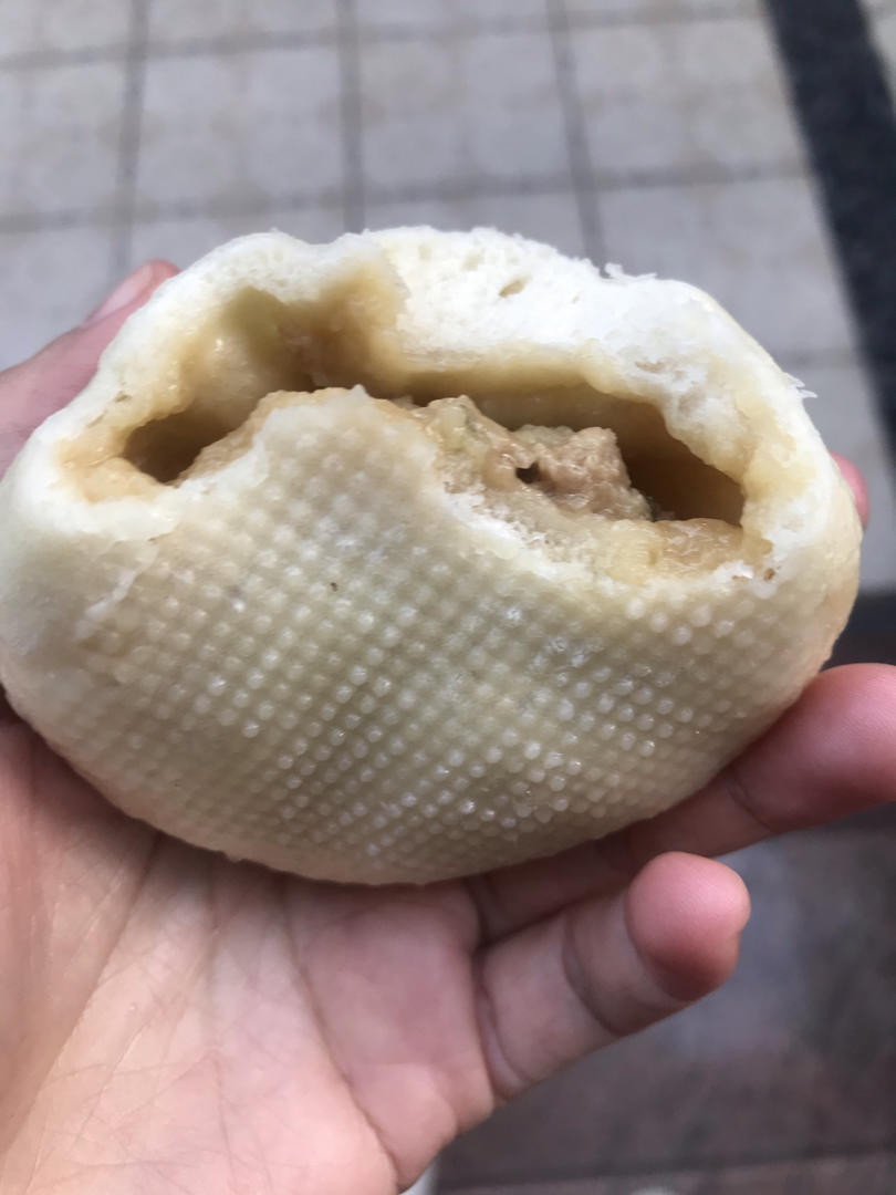 简单又好吃的鲜肉包子