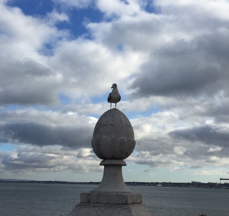 葡萄牙美食之旅
