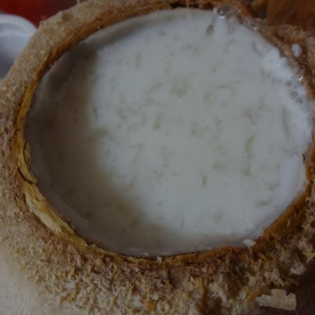 椰汁牛奶炖燕窝的做法