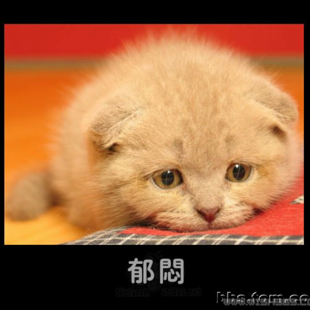 心中有彩虹