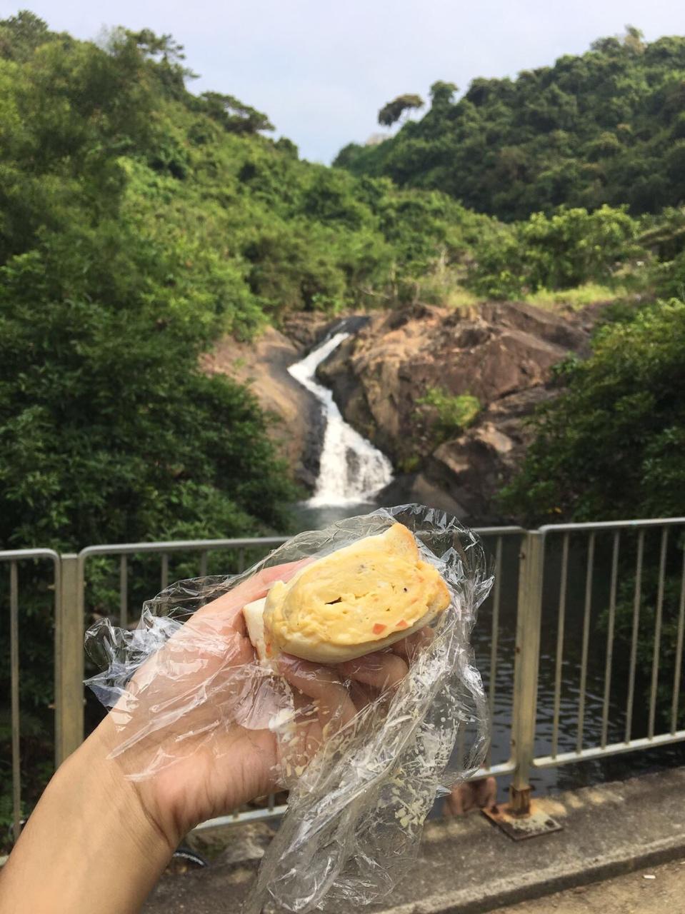 蔬菜厚蛋烧三明治（超详细平底锅做厚蛋烧）
