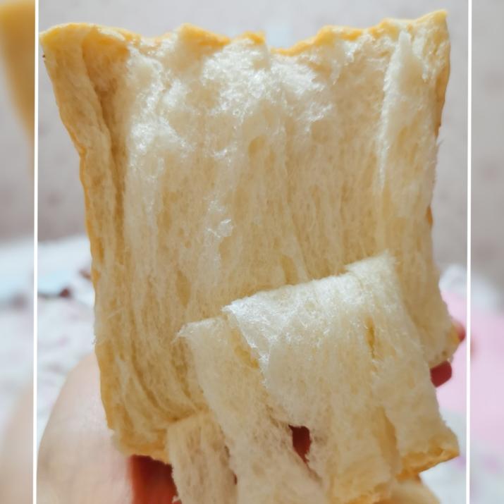 手揉波兰种一发吐司新手新手新手