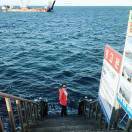 手机用户3232_l7hd