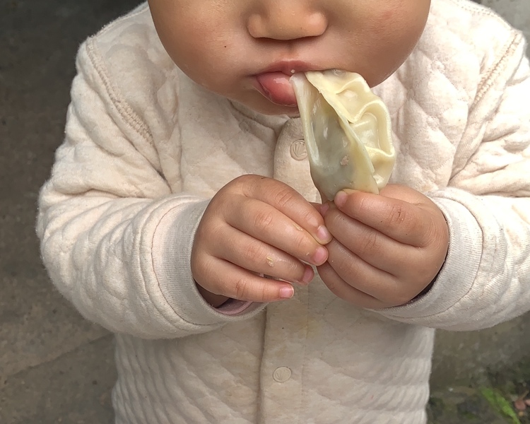 宝宝香菇鸡心包菜饺子