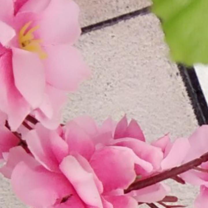 就挺好3