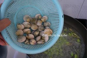 丝瓜毛豆蛤蜊汤（无油版）的做法 步骤4