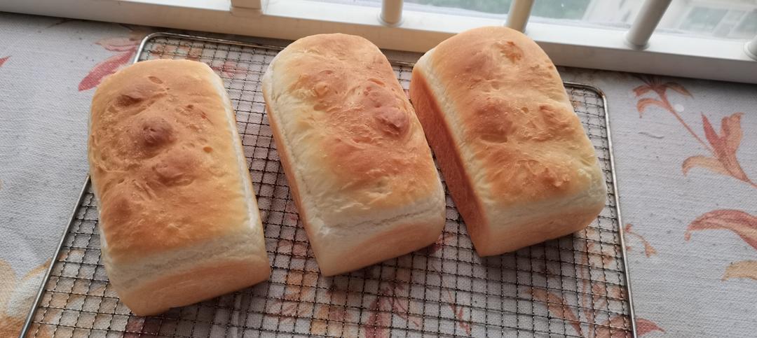 咸盐椰香早餐吐司