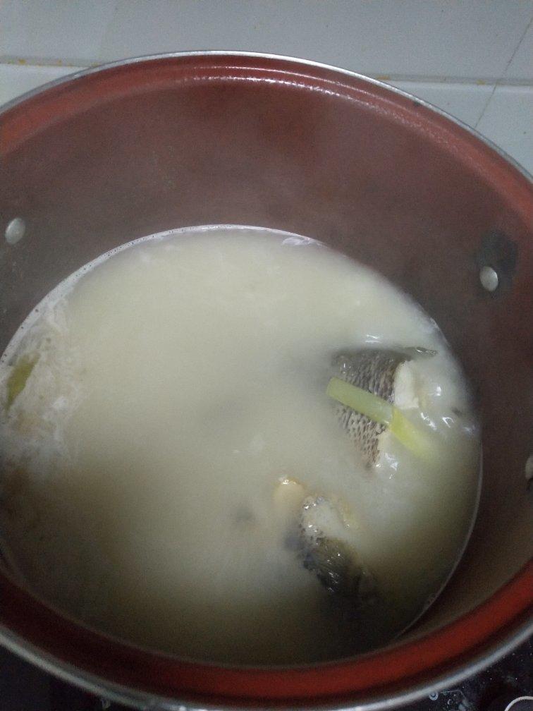 黑鱼汤