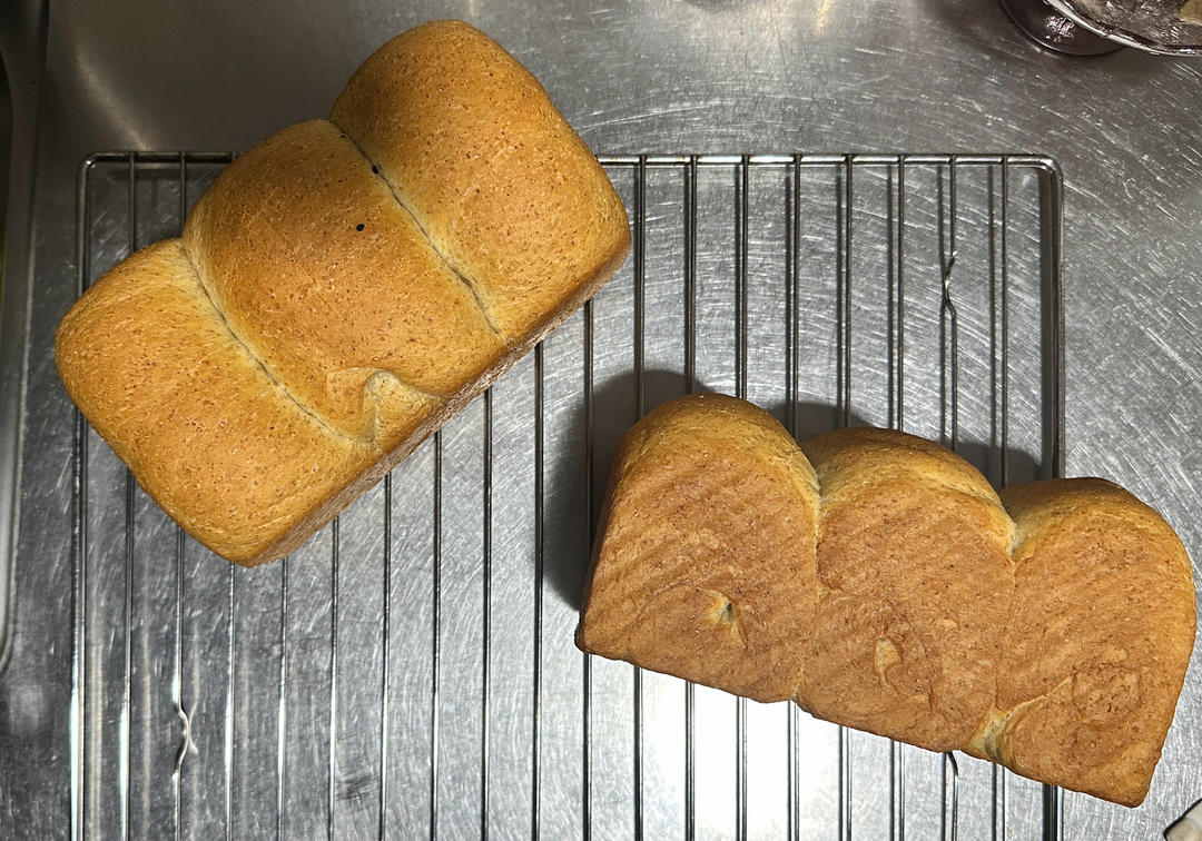 夺命软吐司(๑´ڡ`๑)超软拉丝极速方便的一次发酵吐司