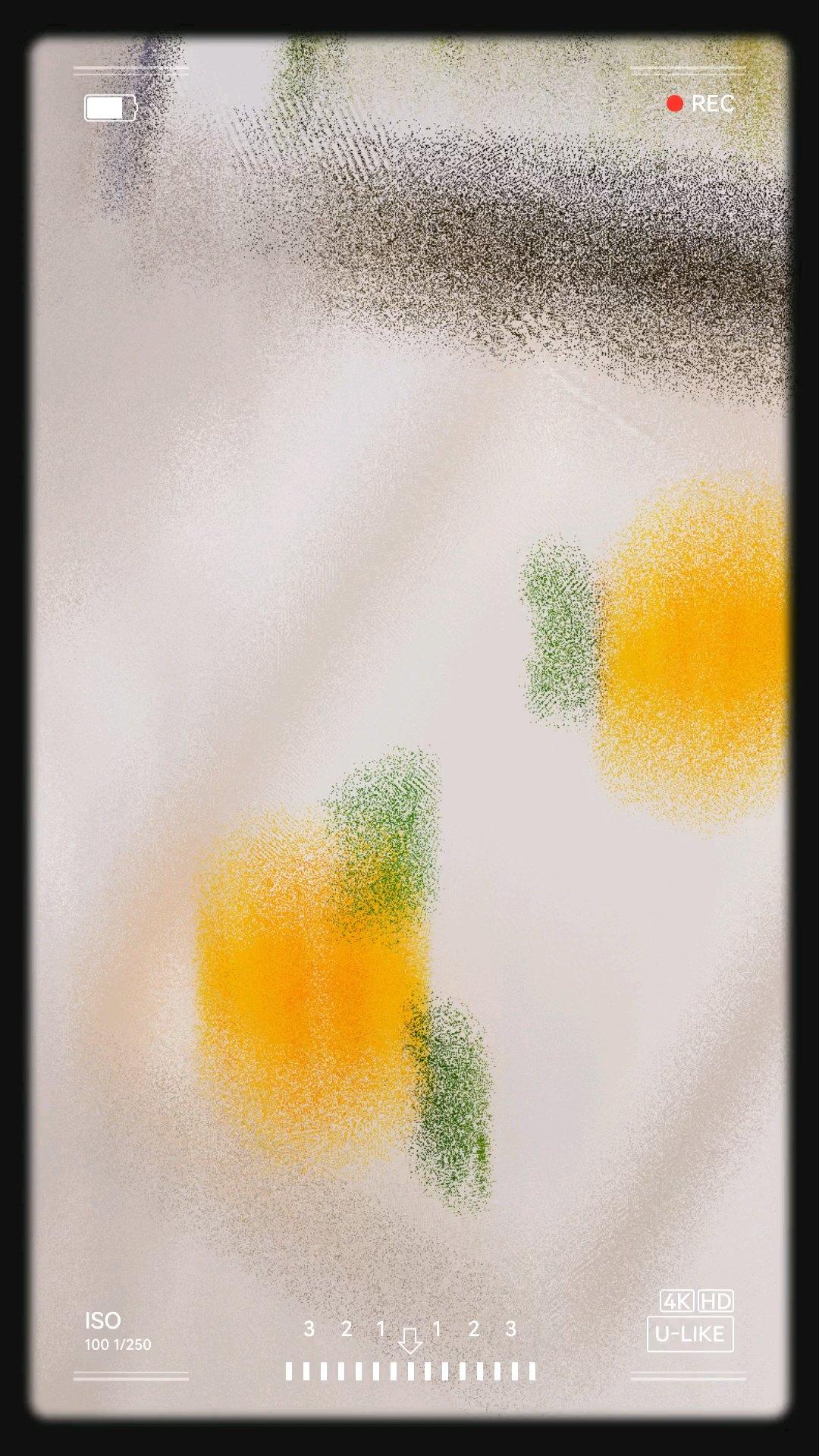黄灿灿的芒果花