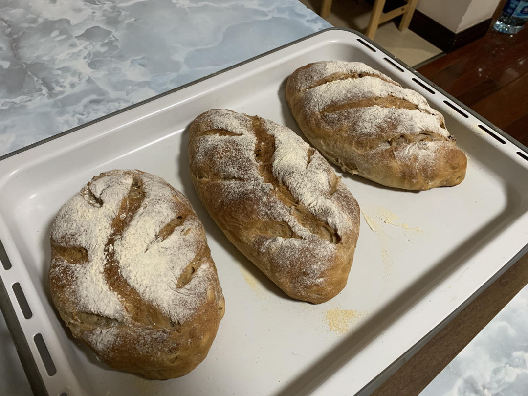 全麦蔓越莓核桃软欧包