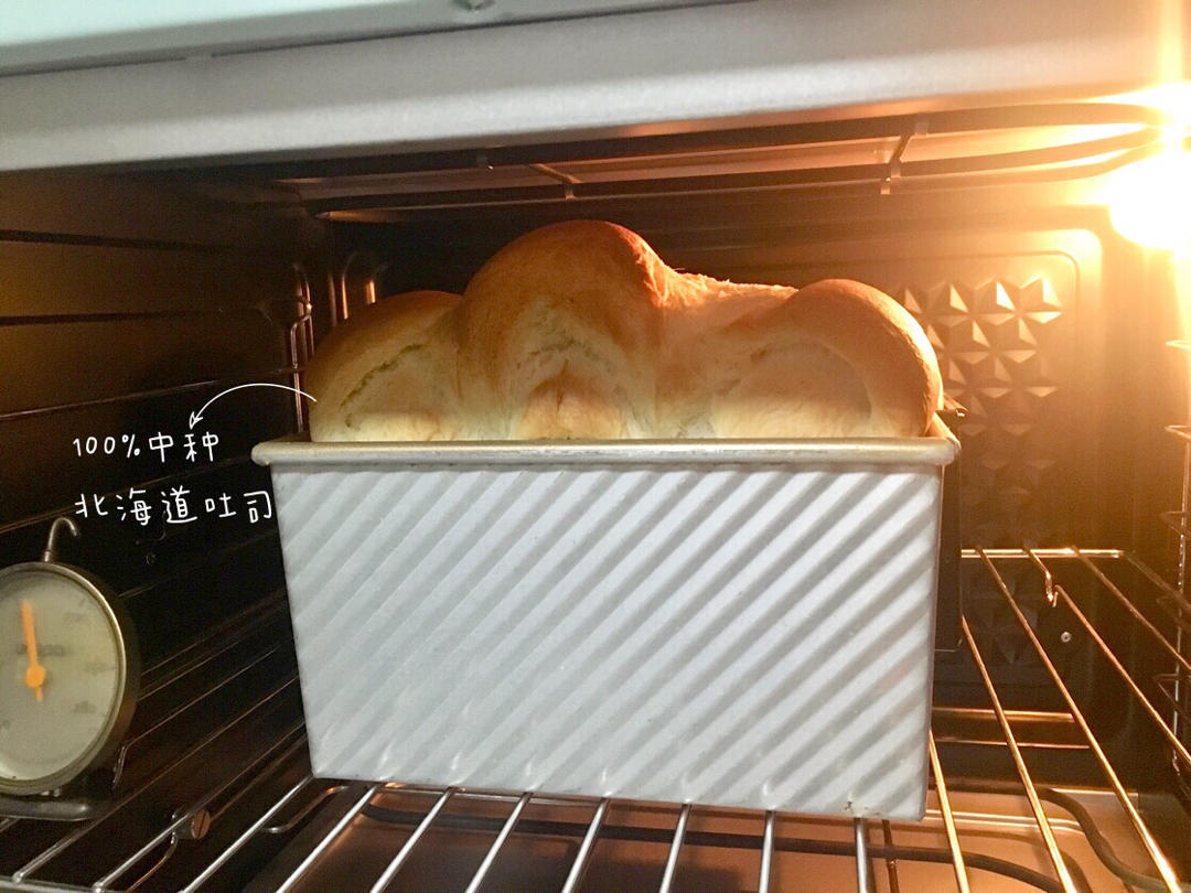 【北海道吐司】体验经典-妃娟100%中种，冷藏冰种的美味