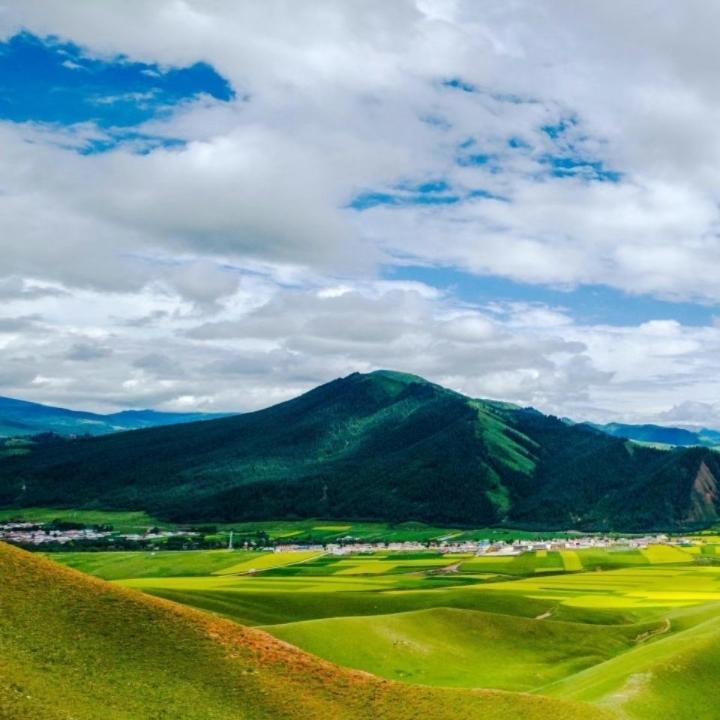 杨山