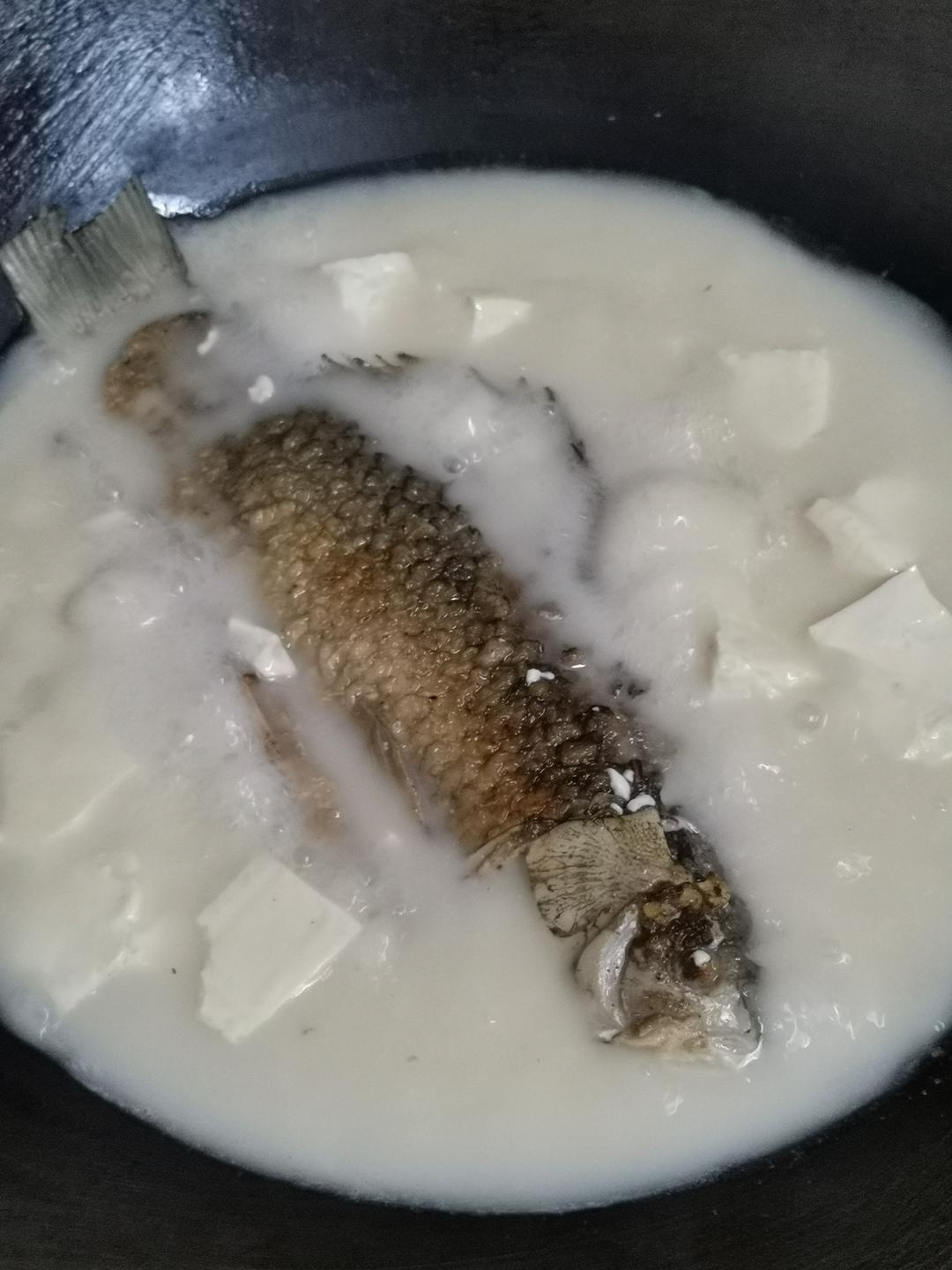 鲫鱼汤(鲫鱼豆腐汤)