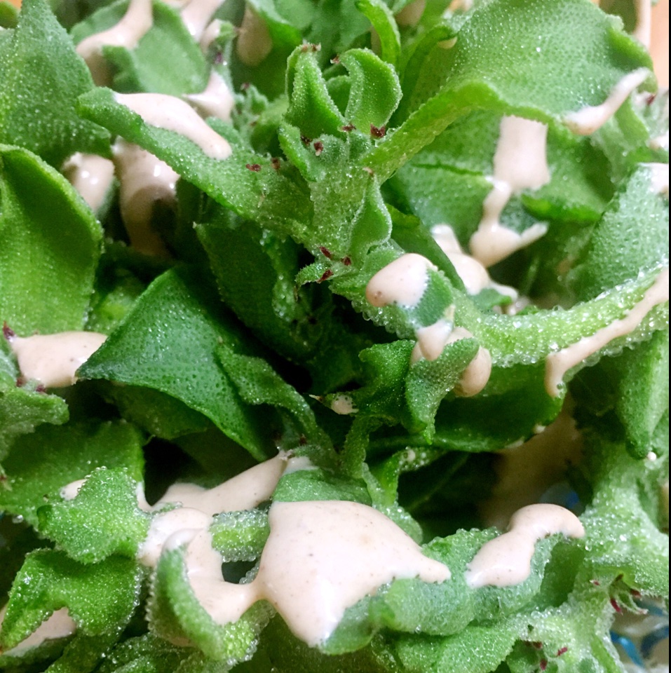 自创小清新凉拌冰草