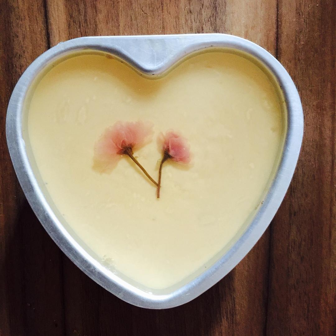 巧克力芒果慕斯