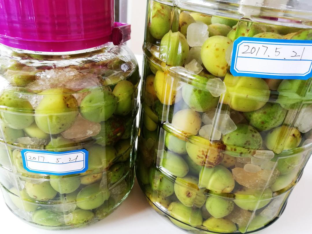 【青梅酒】梅子的沉醉时光（已填坑）