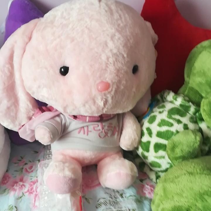 偶尔冒泡呀