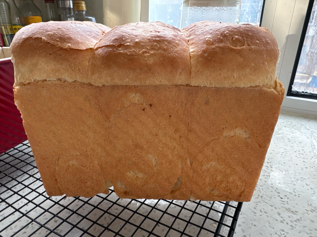 基础面包制作 Basic Bread (Loaf&Roll)