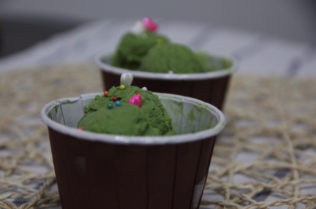 自制哈根达斯风味的冰淇淋