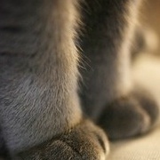 林晓雍