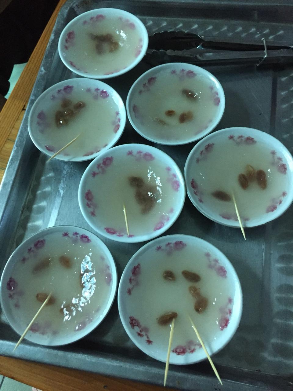 钵仔糕
