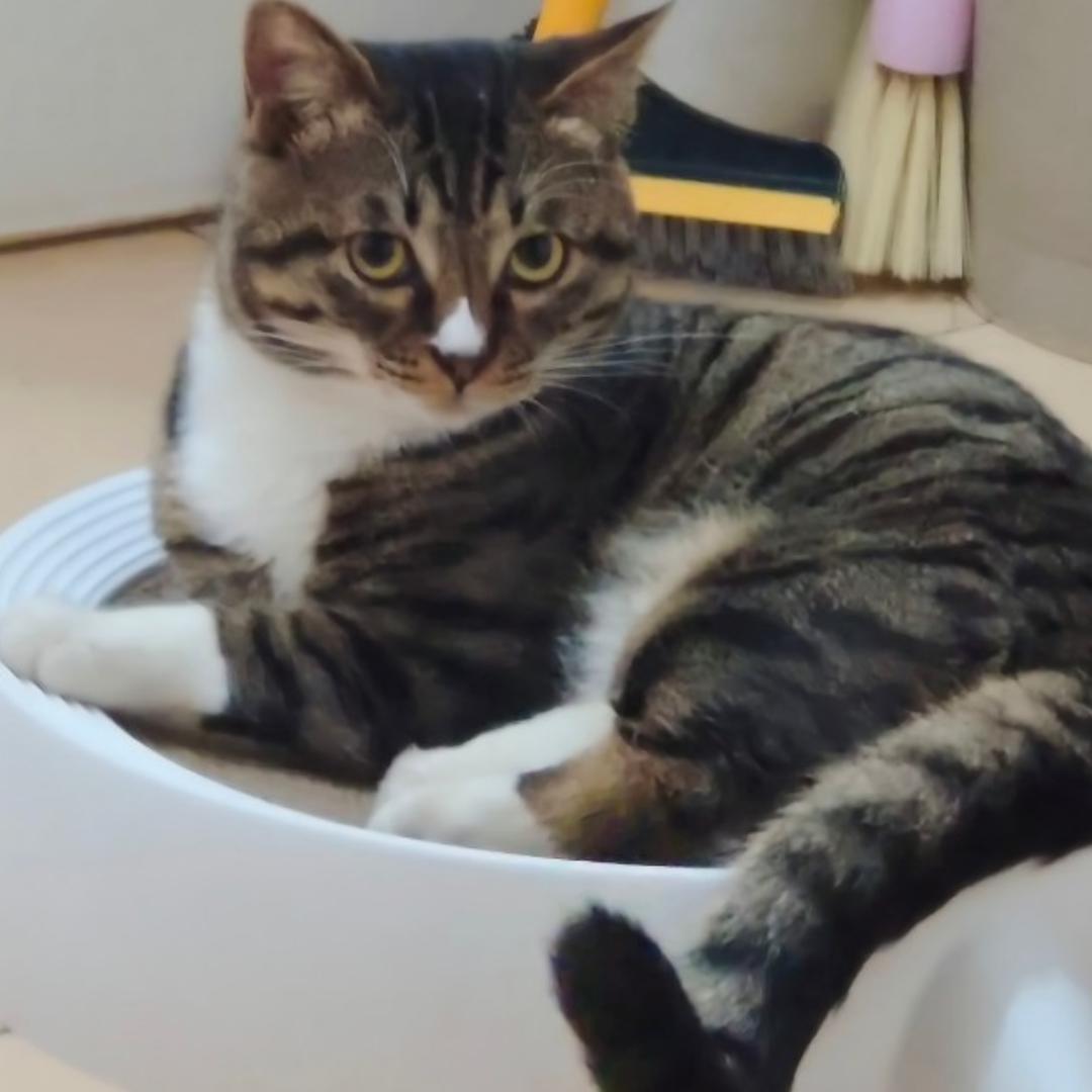 ＂мe糖糖ヽ_c0dt