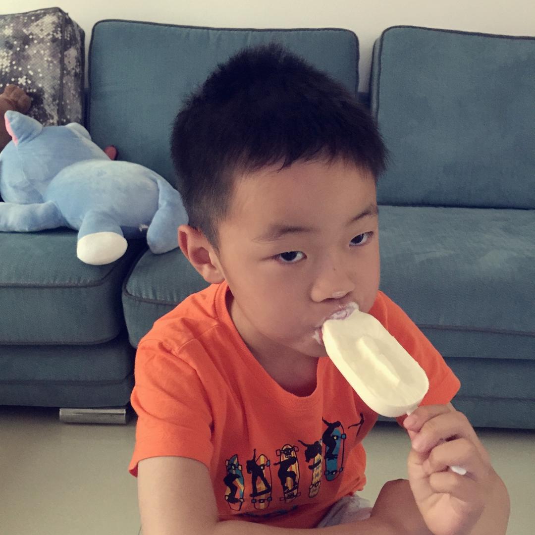 最简单快手的雪糕——酸奶雪糕（附变化版本）