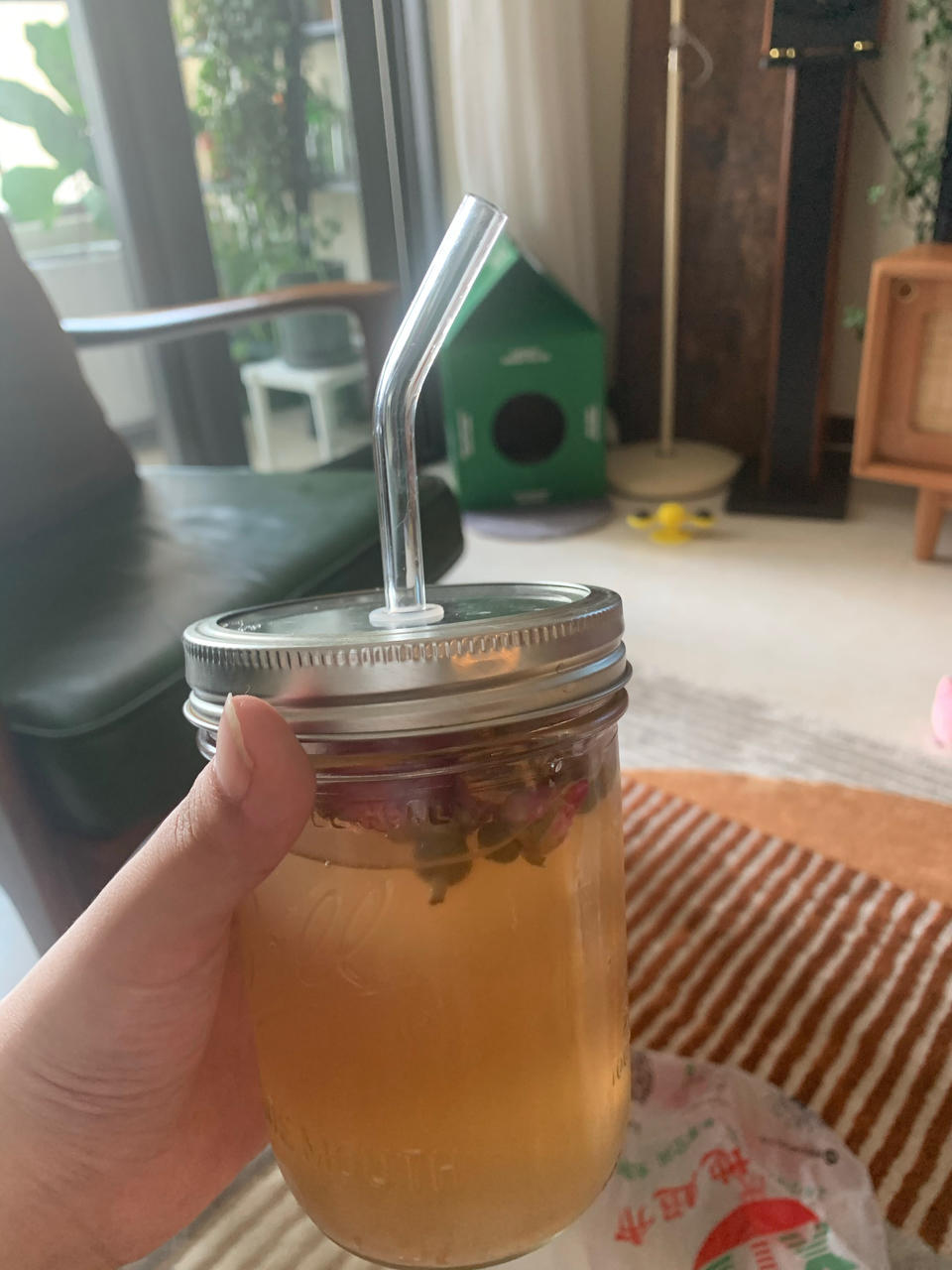 水开菲尔汽水丨喂养篇