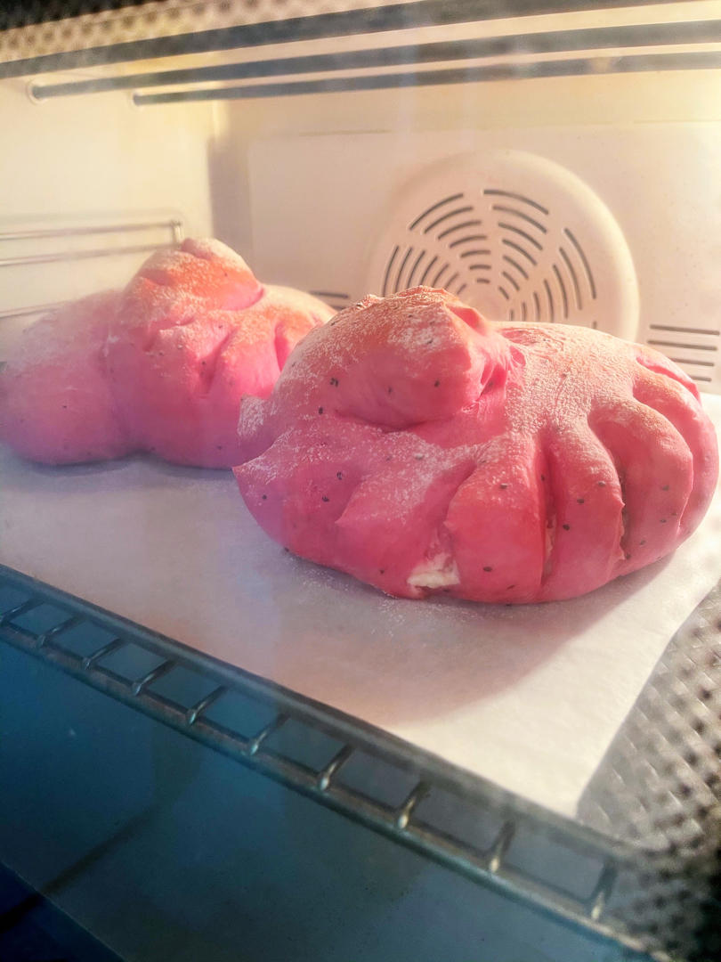 红芯火龙果软欧包视频教程
