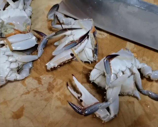 对开梭子蟹—残忍的人类😂