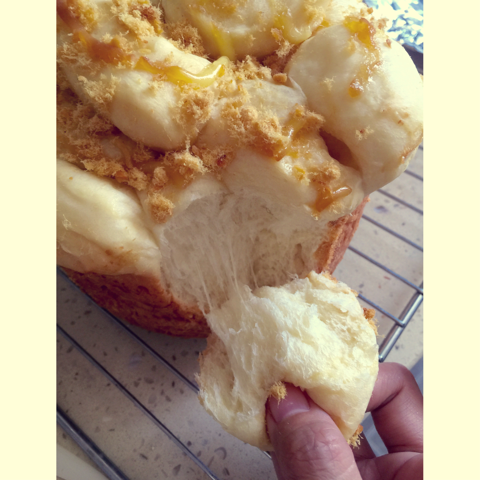 肉松手撕面包—超软会爆浆的面包哟