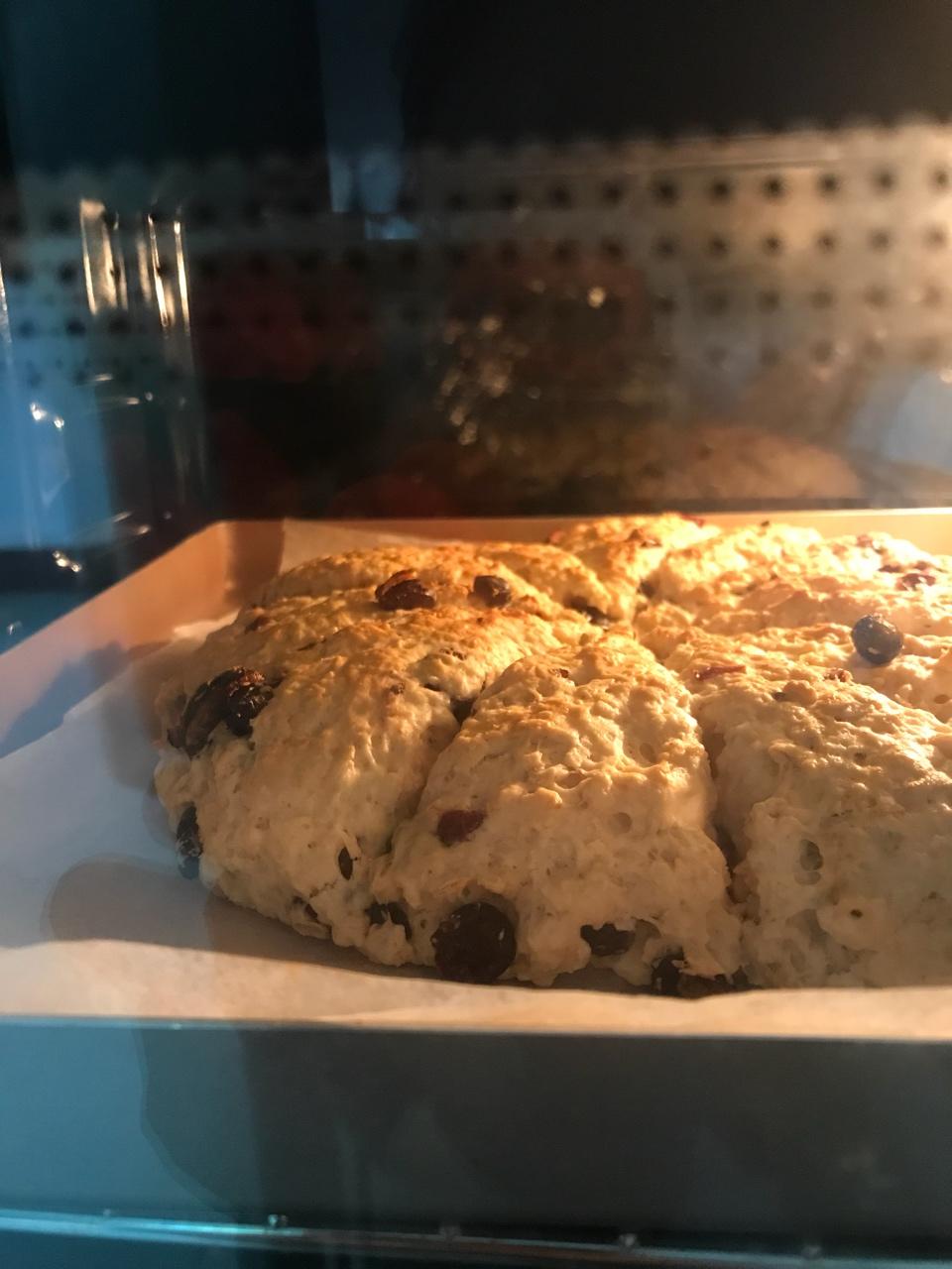 爱尔兰果干燕麦司康
