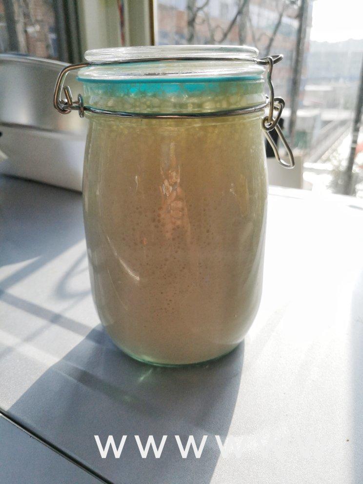 鲁邦种（黑骑士超详细版）