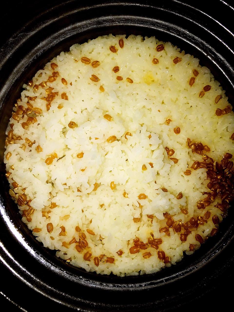 sr-c做的【健康三餐】发芽小麦饭