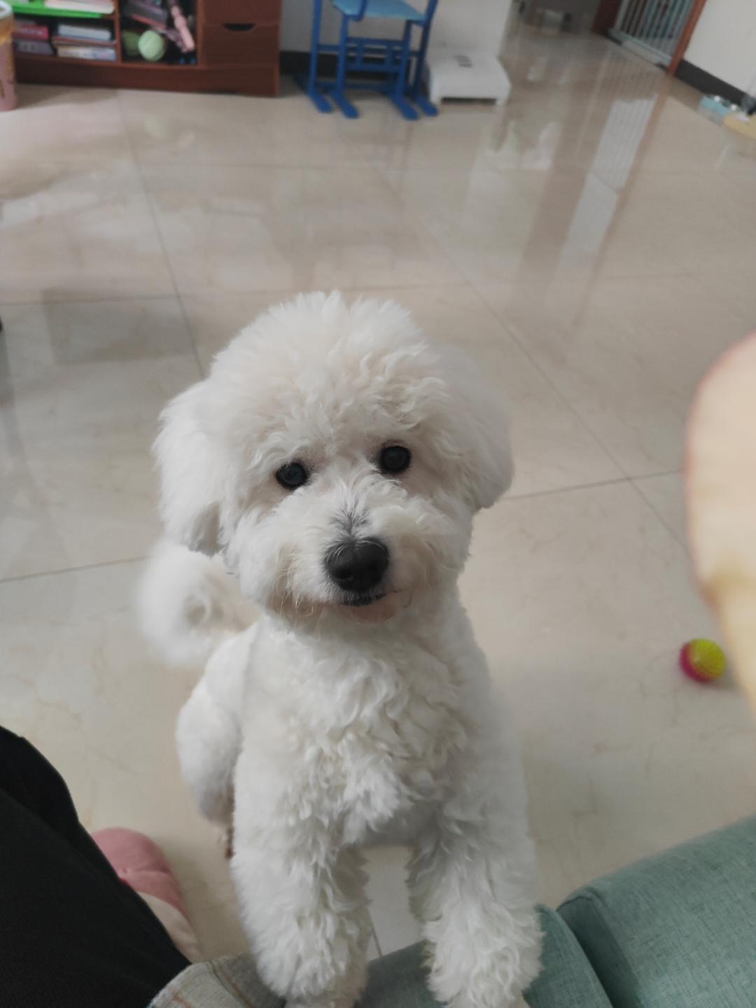 匿名的好友22的厨房