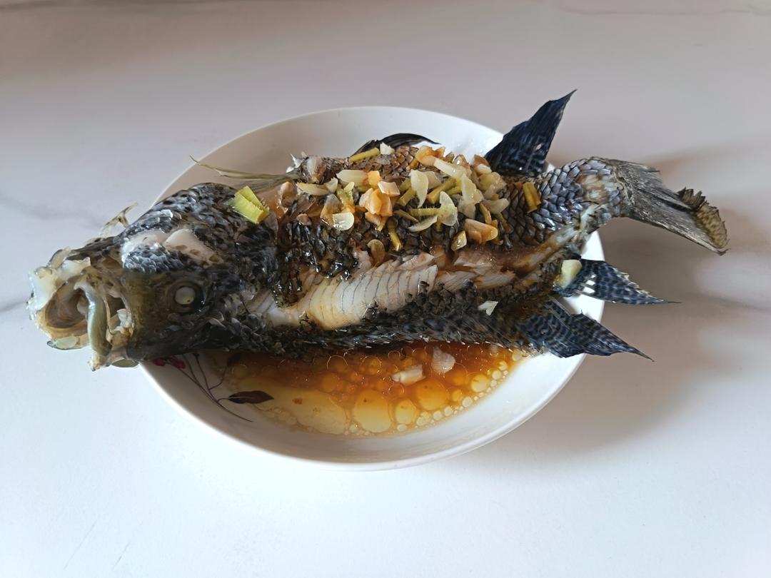 清蒸花斑鱼（多宝鱼、海鲈鱼等）超嫩滑鲜美，零失败，厨房小白秒变大厨。