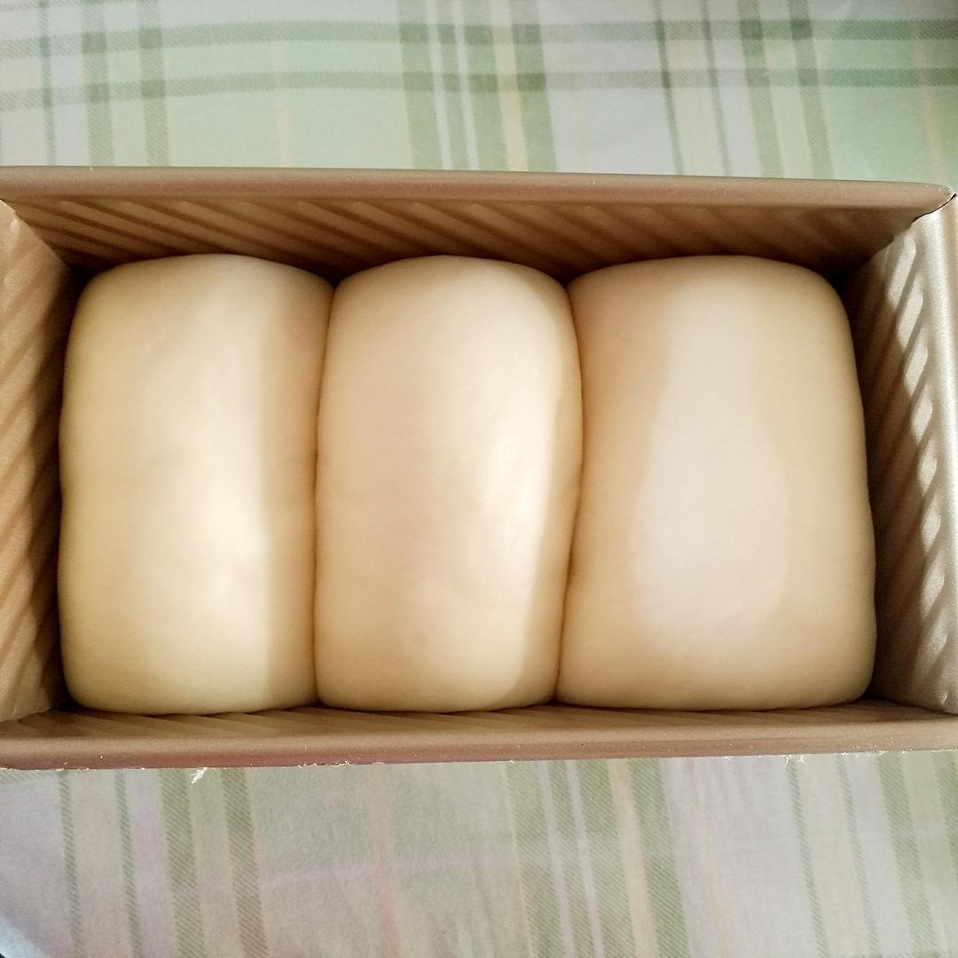 玉米油版一次性发酵吐司