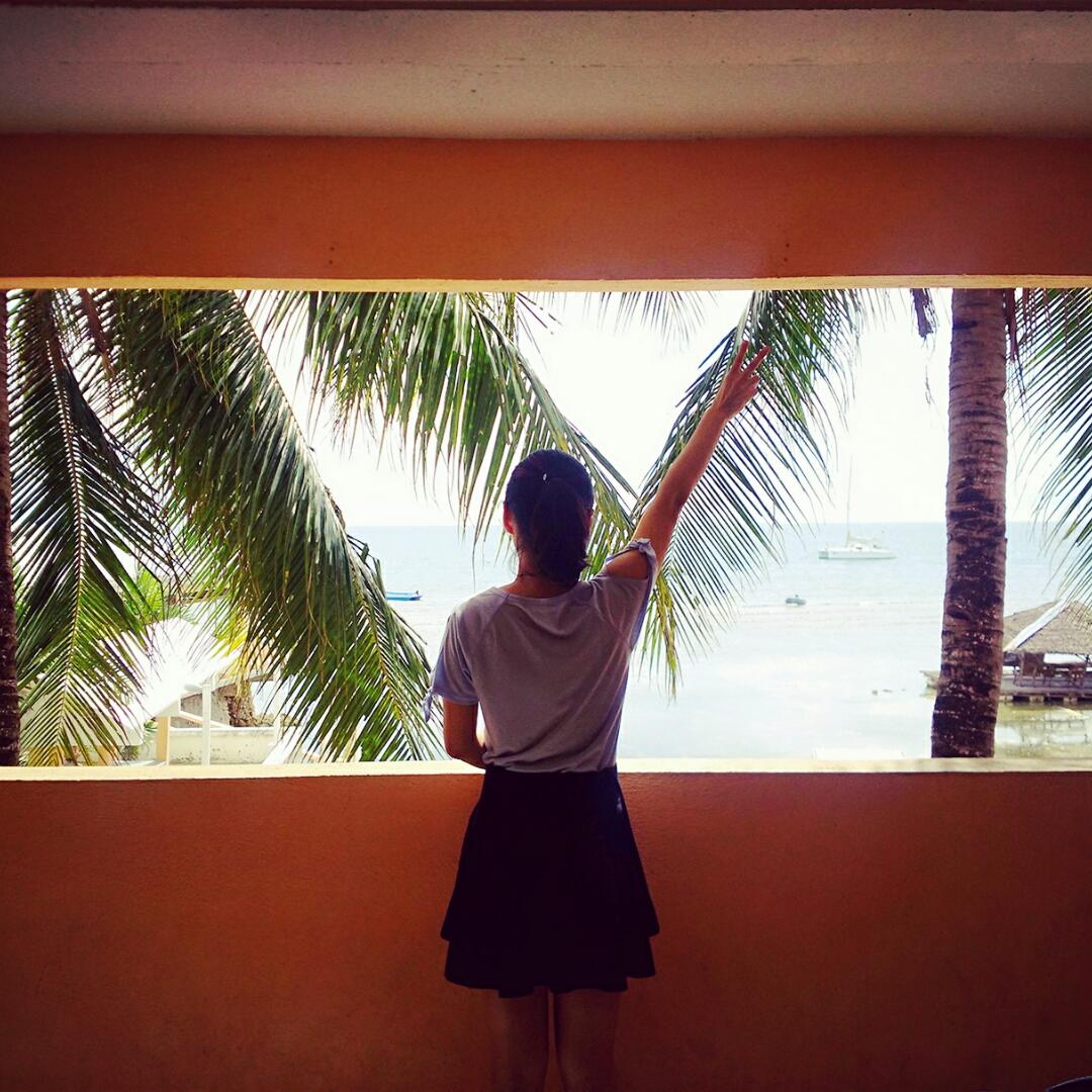 一头很可爱的驴