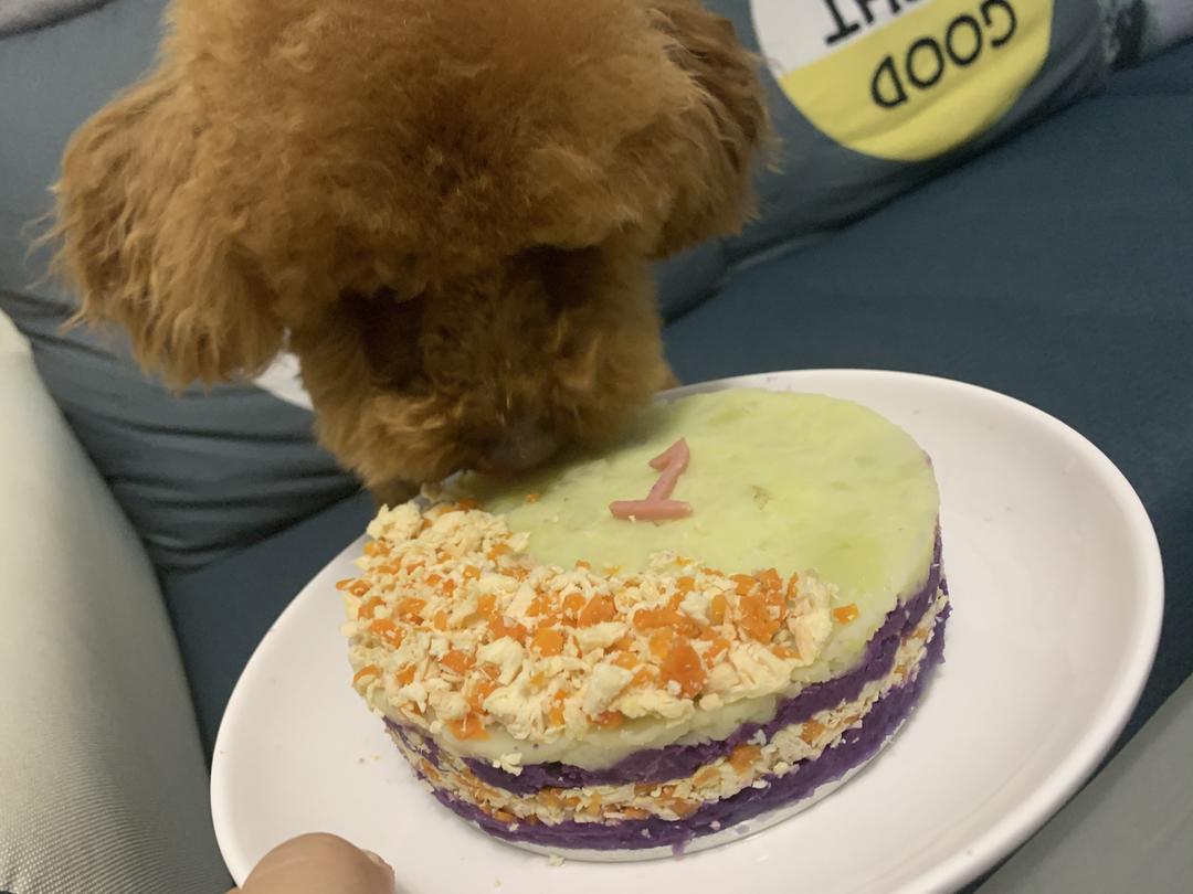 低脂蛋糕~自制狗狗生日蛋糕