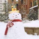 呆呆家的小龙虾