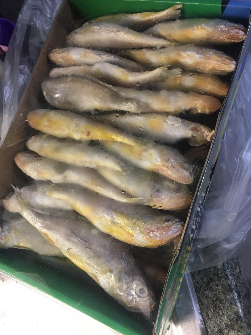 清蒸小黄鱼