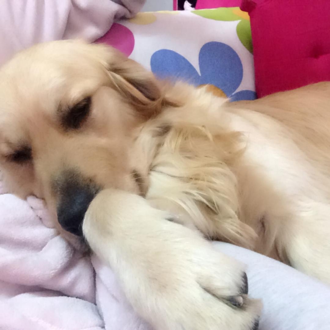 春春春春春长林