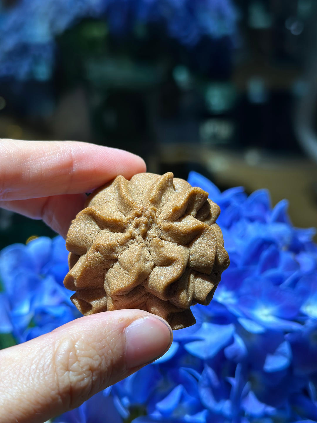 浓郁巧克力曲奇