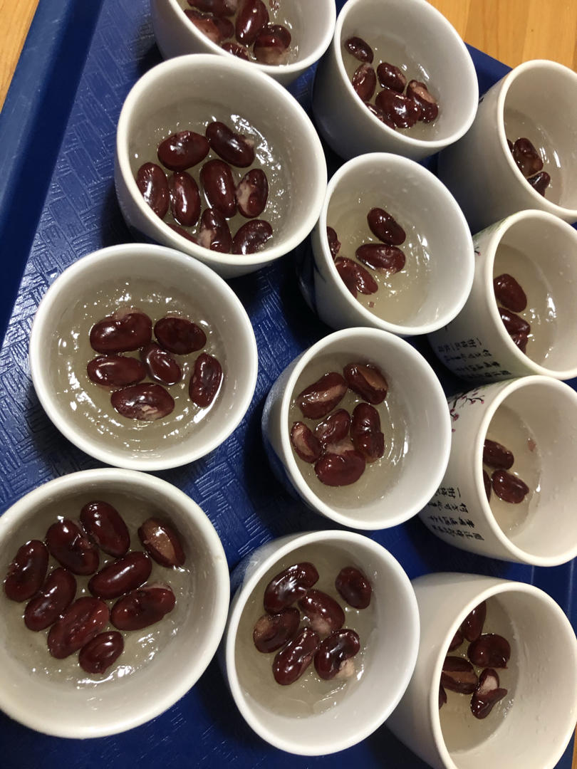 砵仔糕（钵仔糕）