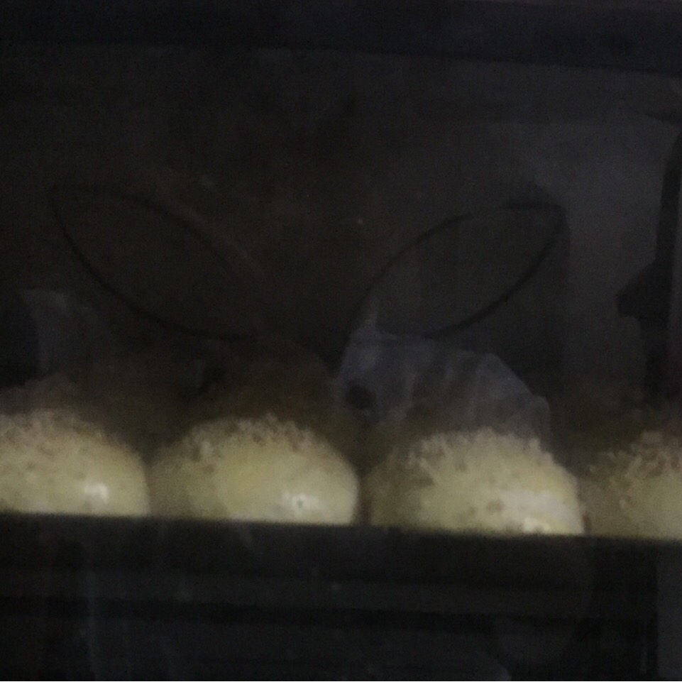鲜奶油小餐包（一次发酵）