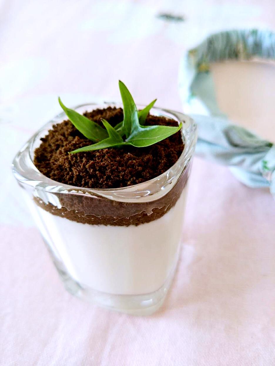 萌小玲儿做的盆栽酸奶