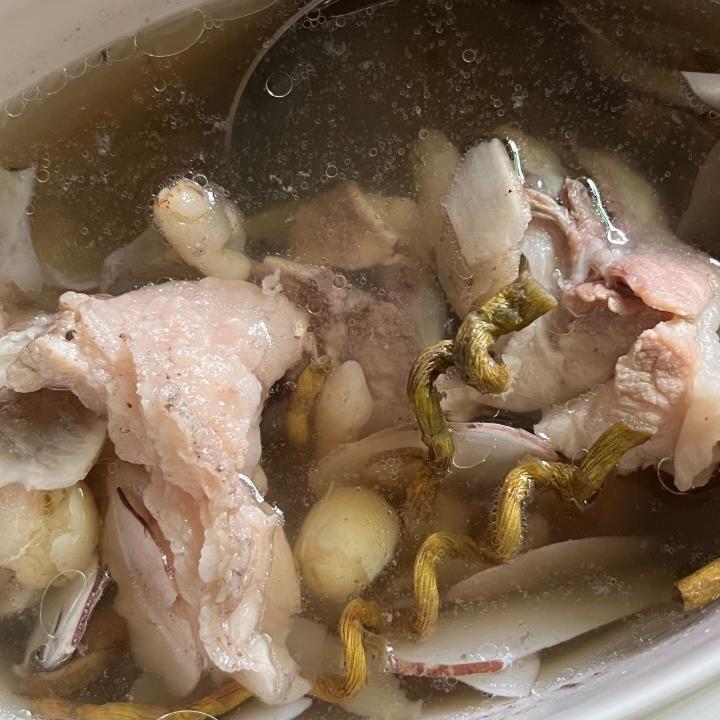 广东靓汤～海底椰石斛滋润汤